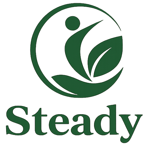 The Steady System